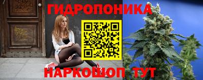 гидра Малгобек