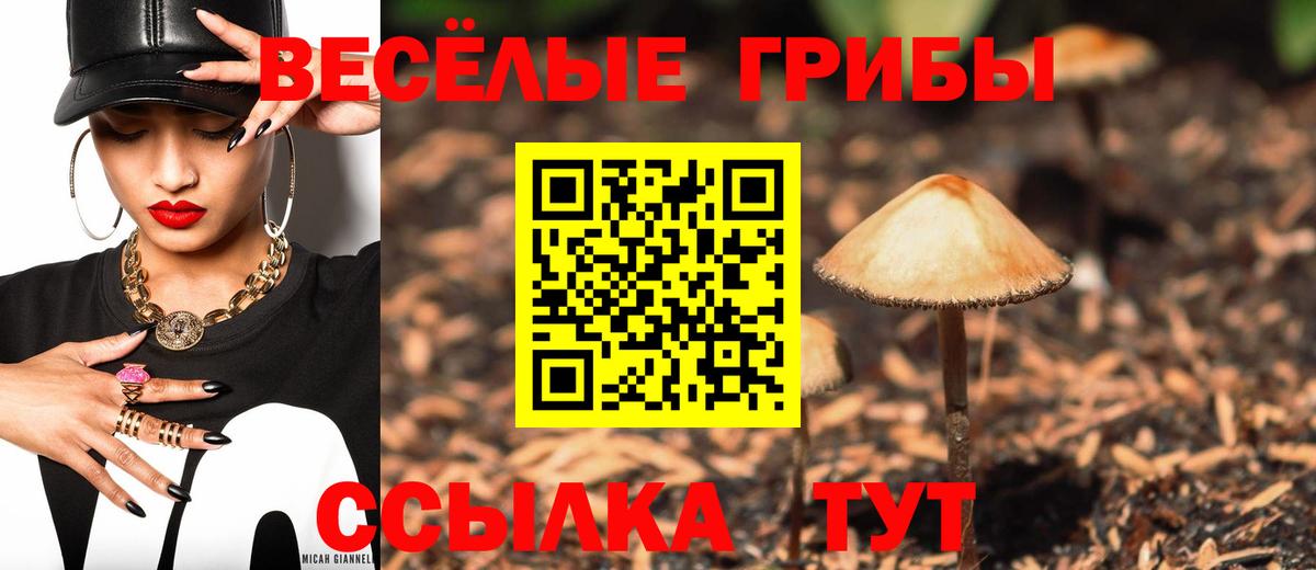 Галлюциногенные грибы Cubensis Красноперекопск